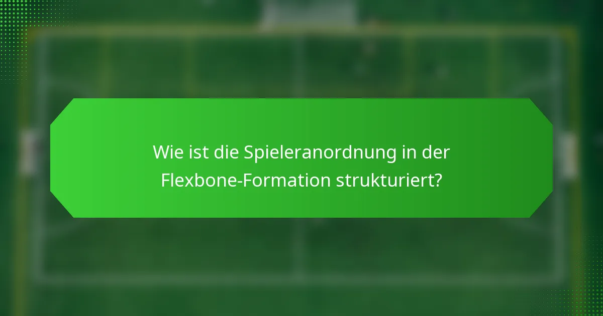 Wie ist die Spieleranordnung in der Flexbone-Formation strukturiert?